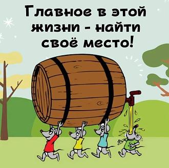 Нажмите на изображение для увеличения.

Название:	IMG_20250823_204724_481.jpg
Просмотров:	122
Размер:	109.9 Кб
ID:	4534582