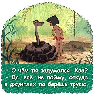 Нажмите на изображение для увеличения.

Название:	IMG_20250823_204749_592.jpg
Просмотров:	118
Размер:	160.8 Кб
ID:	4534583