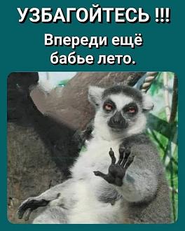 Нажмите на изображение для увеличения.

Название:	538584879_763458259763068_320831331635487256_n.jpg
Просмотров:	286
Размер:	60.6 Кб
ID:	4534782