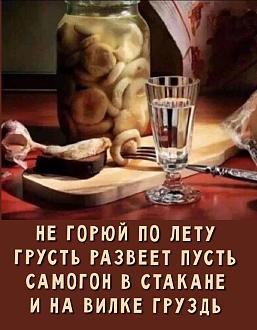 Нажмите на изображение для увеличения.

Название:	IMG_20250827_163856_769.jpg
Просмотров:	27
Размер:	120.1 Кб
ID:	4534936
