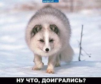 Нажмите на изображение для увеличения.

Название:	polnyj-pesec_27921.jpg
Просмотров:	147
Размер:	38.3 Кб
ID:	4535071