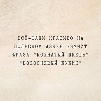 Нажмите на изображение для увеличения.

Название:	IMG_20250829_184251_924.jpg
Просмотров:	246
Размер:	201.6 Кб
ID:	4535148