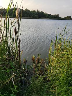 Нажмите на изображение для увеличения.  Название:	IMG_20250829_191742.jpg Просмотров:	0 Размер:	634.7 Кб ID:	4535155