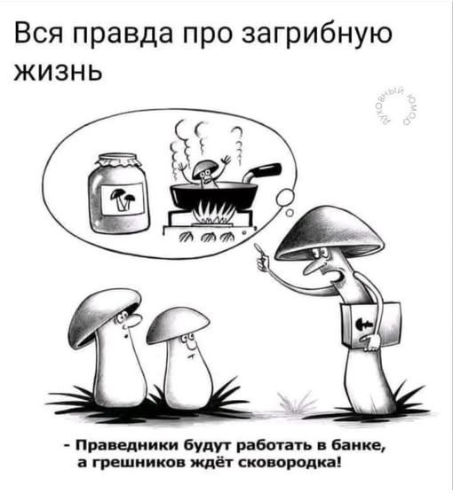 Нажмите на изображение для увеличения.

Название:	540955369_1347121306763452_7618028307879131140_n.jpg
Просмотров:	219
Размер:	47.8 Кб
ID:	4535200