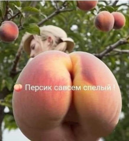 Нажмите на изображение для увеличения.

Название:	FB_IMG_1756361307684.jpg
Просмотров:	122
Размер:	38.8 Кб
ID:	4535361