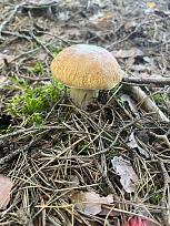 Нажмите на изображение для увеличения.

Название:	IMG_20250830_201843_355.jpg
Просмотров:	99
Размер:	389.1 Кб
ID:	4535367