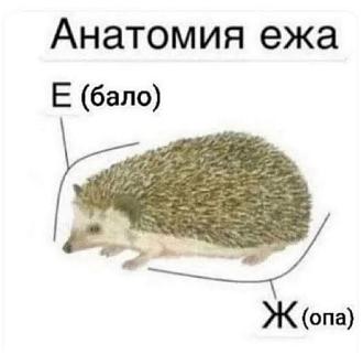 Нажмите на изображение для увеличения.  Название:	541779870_1701813063853937_6651445384727134806_n.jpg Просмотров:	0 Размер:	31.9 Кб ID:	4535384