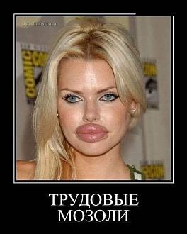 Нажмите на изображение для увеличения.  Название:	540623078_2026685058077200_8791517172062034778_n.jpg Просмотров:	0 Размер:	58.6 Кб ID:	4535418