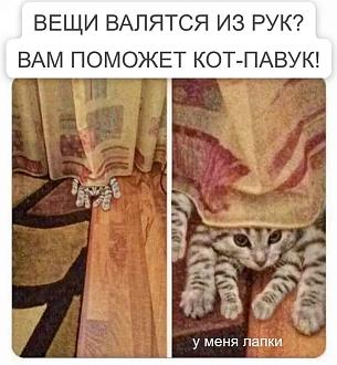 Нажмите на изображение для увеличения.

Название:	IMG_20250831_124528_535.jpg
Просмотров:	259
Размер:	101.1 Кб
ID:	4535567