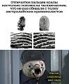 Нажмите на изображение для увеличения.  Название:	FB_IMG_1756467613131.jpg Просмотров:	0 Размер:	143.5 Кб ID:	4535780