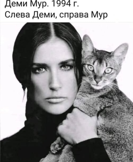 Нажмите на изображение для увеличения.

Название:	photoeditorsdk-export (9).png
Просмотров:	41
Размер:	211.2 Кб
ID:	4536013