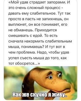 Нажмите на изображение для увеличения.

Название:	541432644_1453868422590400_3630312356908323295_n.jpg
Просмотров:	55
Размер:	71.0 Кб
ID:	4536109