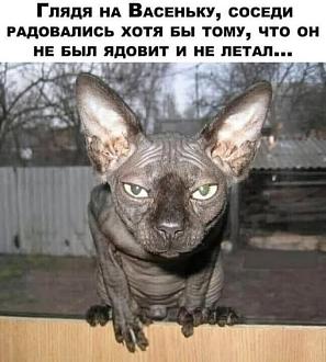Нажмите на изображение для увеличения.

Название:	548620985_1094577849457792_3612457690195421572_n.jpg
Просмотров:	0
Размер:	58.3 Кб
ID:	4536705
