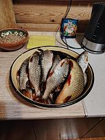 Нажмите на изображение для увеличения.  Название:	IMG_20250913_211808.jpg Просмотров:	0 Размер:	464.1 Кб ID:	4536747