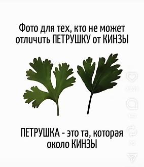 Нажмите на изображение для увеличения.

Название:	547641692_1444873820098551_3105937573132792696_n.jpg
Просмотров:	0
Размер:	41.1 Кб
ID:	4536805
