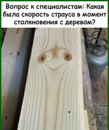 Нажмите на изображение для увеличения.

Название:	photoeditorsdk-export (15).png
Просмотров:	360
Размер:	225.7 Кб
ID:	4537211