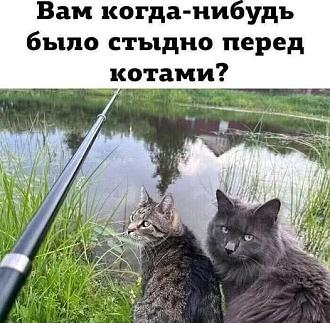 Нажмите на изображение для увеличения.

Название:	514274638_1850933872490452_3100775985710326081_n.jpg
Просмотров:	337
Размер:	82.7 Кб
ID:	4537478