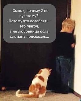 Нажмите на изображение для увеличения.  Название:	549791429_1869169177279835_743249997699820123_n.jpg Просмотров:	63 Размер:	39.7 Кб ID:	4537499