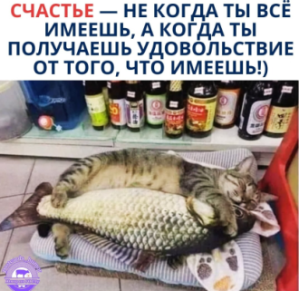 Нажмите на изображение для увеличения.

Название:	photoeditorsdk-export (18).png
Просмотров:	296
Размер:	297.3 Кб
ID:	4537814