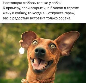 Нажмите на изображение для увеличения.  Название:	FB_IMG_1759220402393.jpg Просмотров:	0 Размер:	97.7 Кб ID:	4537986