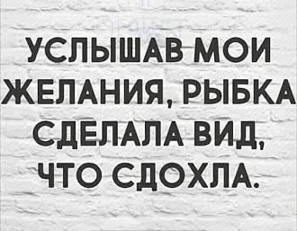 Нажмите на изображение для увеличения.

Название:	IMG_20250926_093408_256.jpg
Просмотров:	55
Размер:	54.7 Кб
ID:	4538106