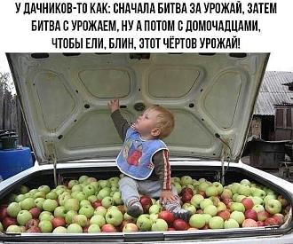 Нажмите на изображение для увеличения.

Название:	IMG_20251004_163443_745.jpg
Просмотров:	105
Размер:	89.0 Кб
ID:	4538318
