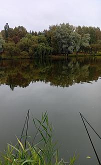 Нажмите на изображение для увеличения.

Название:	IMG_20251005_124337.jpg
Просмотров:	244
Размер:	282.6 Кб
ID:	4538328
