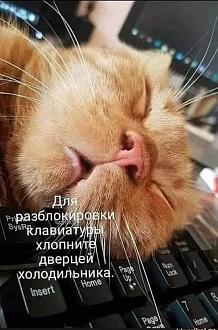 Нажмите на изображение для увеличения.

Название:	555494541_844746008075685_1050365307223912102_n.jpg
Просмотров:	125
Размер:	83.9 Кб
ID:	4538341