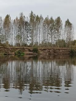 Нажмите на изображение для увеличения.  Название:	IMG_20251005_160613_345.jpg Просмотров:	3 Размер:	457.4 Кб ID:	4538387