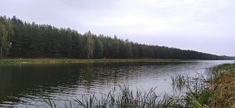 Нажмите на изображение для увеличения.

Название:	IMG_20251005_082707.jpg
Просмотров:	261
Размер:	478.3 Кб
ID:	4538420