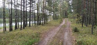 Нажмите на изображение для увеличения.

Название:	IMG_20251005_090716.jpg
Просмотров:	257
Размер:	576.8 Кб
ID:	4538423