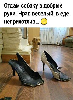 Нажмите на изображение для увеличения.

Название:	IMG_20250924_151312_702.jpg
Просмотров:	29
Размер:	168.5 Кб
ID:	4538434