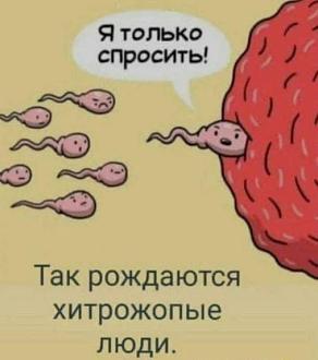 Нажмите на изображение для увеличения.

Название:	IMG_20251007_162502_987.jpg
Просмотров:	49
Размер:	35.3 Кб
ID:	4538524