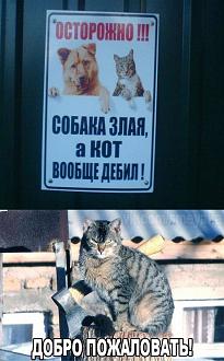 Нажмите на изображение для увеличения.

Название:	IMG_20251006_131001_864.jpg
Просмотров:	55
Размер:	109.5 Кб
ID:	4538526