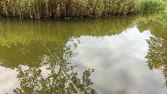 Нажмите на изображение для увеличения.  Название:	GCAM_20251005_164700_lmc_8.4.jpg Просмотров:	178 Размер:	543.8 Кб ID:	4538710