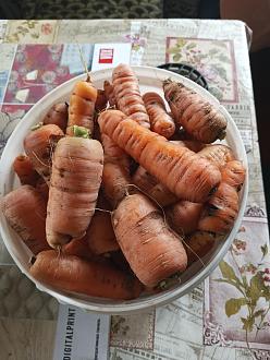 Нажмите на изображение для увеличения.

Название:	IMG_20251011_101846_715.jpg
Просмотров:	156
Размер:	361.3 Кб
ID:	4538830