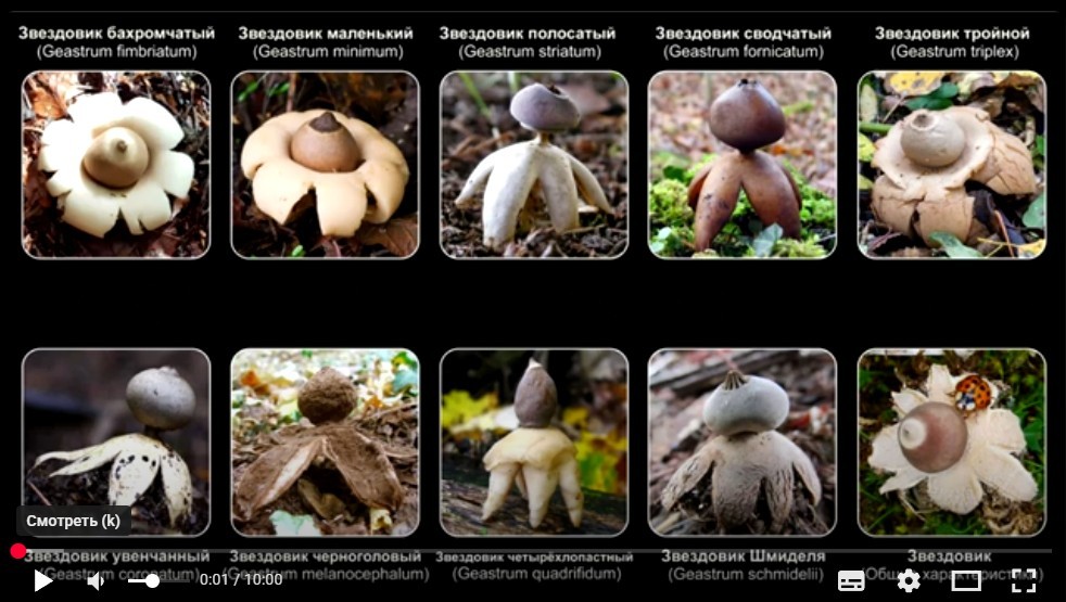 Нажмите на изображение для увеличения.  Название:	Скриншот 11-10-2025 143156.jpg Просмотров:	0 Размер:	141.1 Кб ID:	4538879