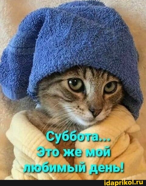 Нажмите на изображение для увеличения.

Название:	c6cb39e8733faff552716ee89095f322a75ec937353fbd2b282d086b2b17c736_1.jpg
Просмотров:	263
Размер:	87.4 Кб
ID:	4538891