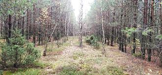 Нажмите на изображение для увеличения.

Название:	IMG_20251024_113932.jpg
Просмотров:	30
Размер:	586.3 Кб
ID:	4540041