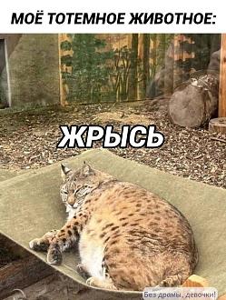 Нажмите на изображение для увеличения.  Название:	IMG-b2b409a83fef208107d75c04a851db06-V.jpg Просмотров:	0 Размер:	263.2 Кб ID:	4540075