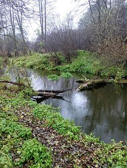 Нажмите на изображение для увеличения.  Название:	IMG_20251026_161311.jpg Просмотров:	69 Размер:	710.3 Кб ID:	4540209