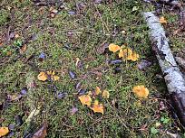 Нажмите на изображение для увеличения.  Название:	20251025_145004.jpg Просмотров:	0 Размер:	733.7 Кб ID:	4540315