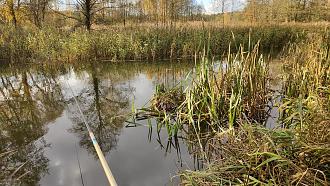 Нажмите на изображение для увеличения.  Название:	IMG20251025161504.jpg Просмотров:	86 Размер:	638.3 Кб ID:	4540436