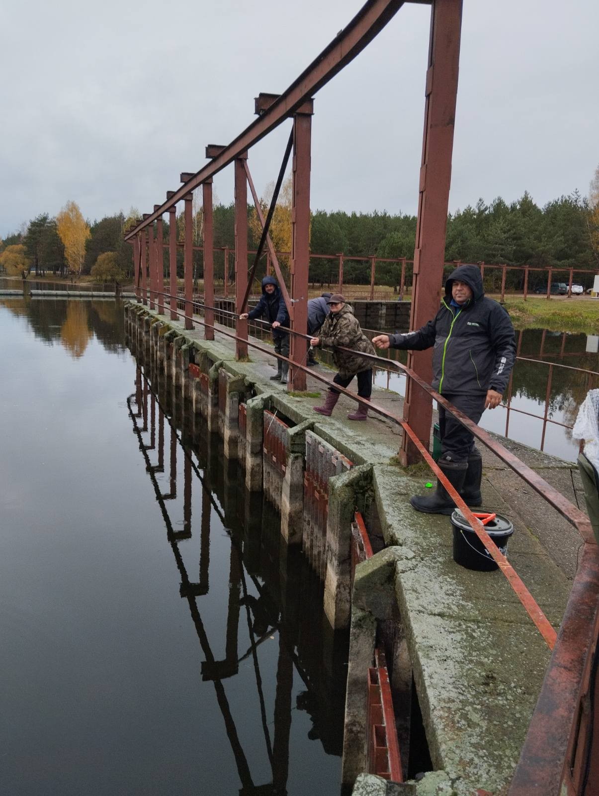 Нажмите на изображение для увеличения.  Название:	изображение_viber_2025-10-28_20-25-22-420.jpg Просмотров:	15 Размер:	318.4 Кб ID:	4540475