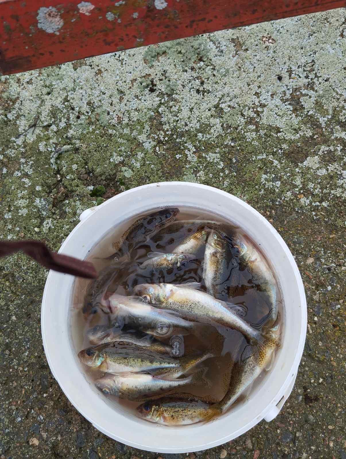 Нажмите на изображение для увеличения.  Название:	изображение_viber_2025-10-28_20-25-22-452.jpg Просмотров:	15 Размер:	486.4 Кб ID:	4540476