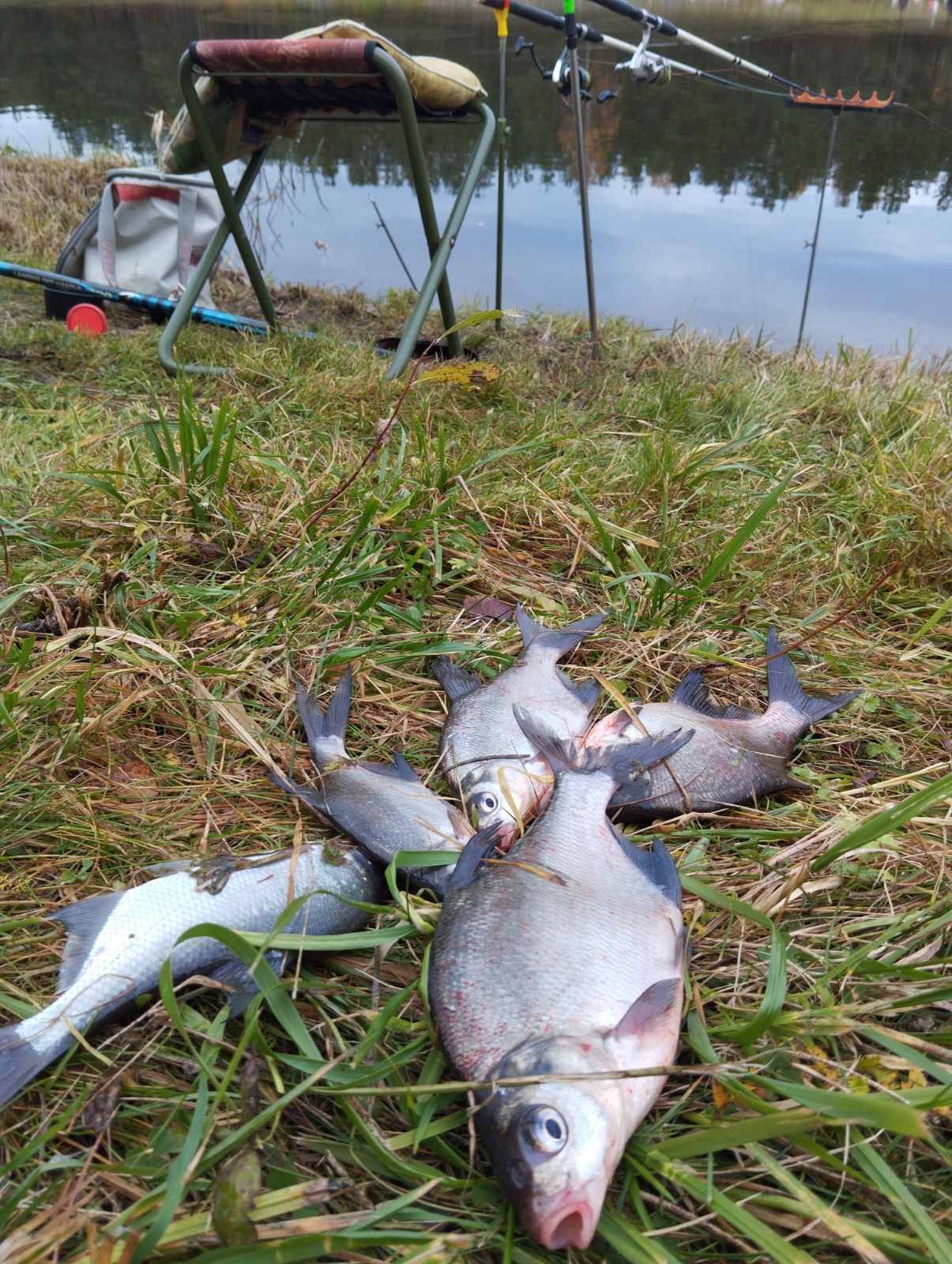 Нажмите на изображение для увеличения.  Название:	изображение_viber_2025-10-29_17-37-20-590.jpg Просмотров:	15 Размер:	474.8 Кб ID:	4540477