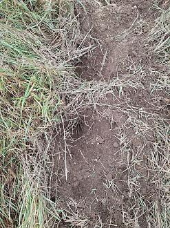 Нажмите на изображение для увеличения.  Название:	20251030_152129.jpg Просмотров:	0 Размер:	712.2 Кб ID:	4540626