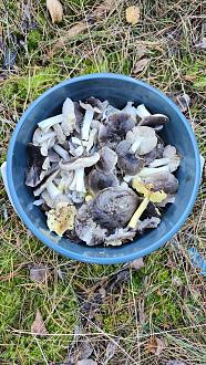 Нажмите на изображение для увеличения.  Название:	IMG_20251101_160805.jpg Просмотров:	0 Размер:	628.1 Кб ID:	4540679