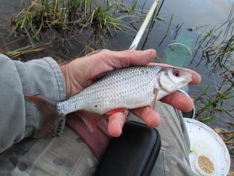 Нажмите на изображение для увеличения.

Название:	IMG_0573.JPG
Просмотров:	150
Размер:	434.1 Кб
ID:	4540749