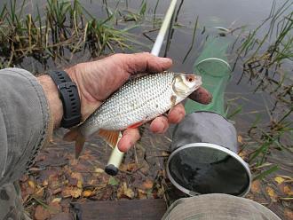 Нажмите на изображение для увеличения.

Название:	IMG_0568.JPG
Просмотров:	149
Размер:	476.7 Кб
ID:	4540750